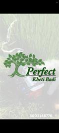 perfect Khetibadi associate